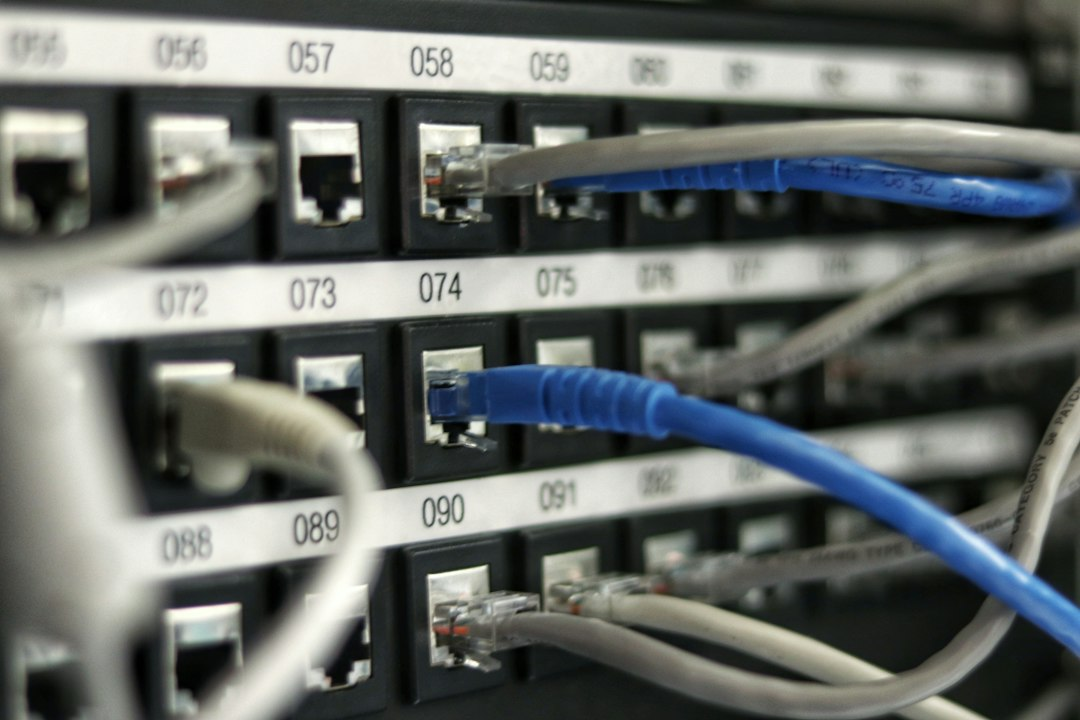 A close view of organized network connections.